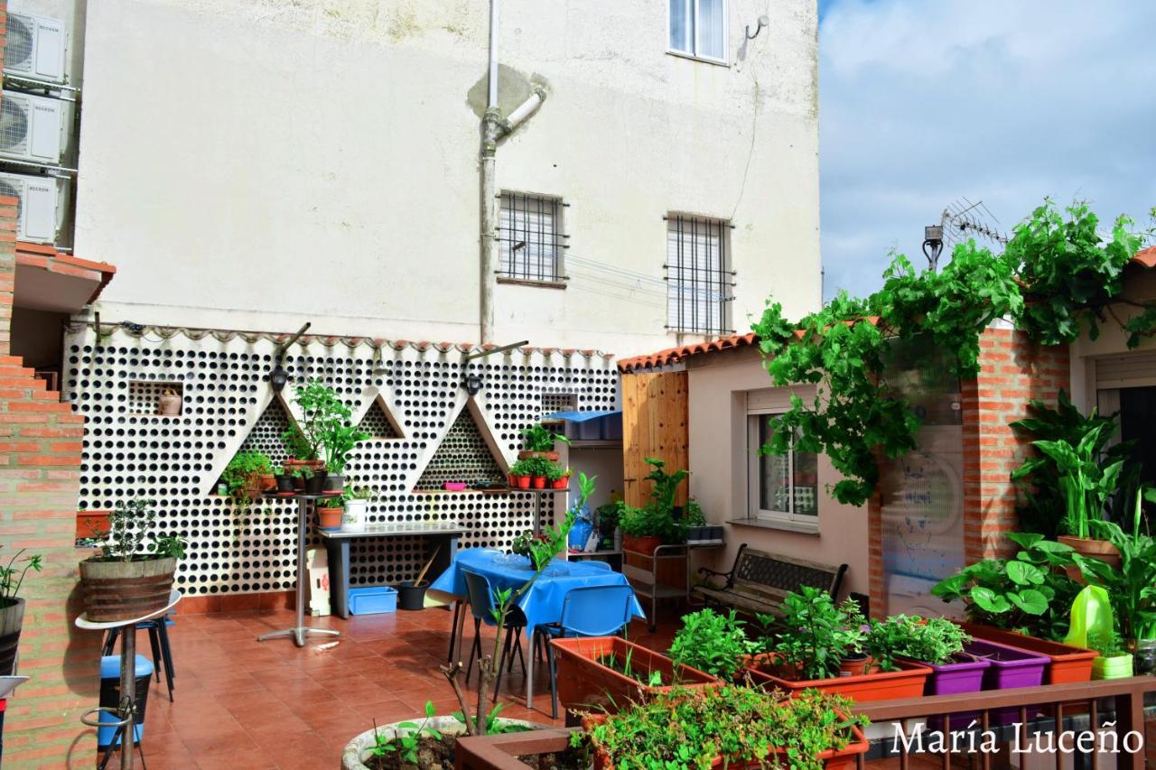 Comfortable Apartment In Caceres 55 M² Welcoming Terrace Екстер'єр фото