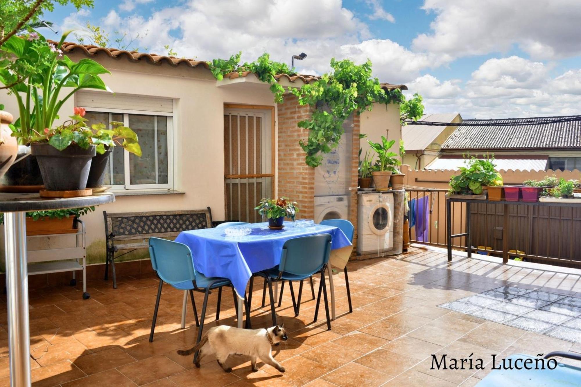 Comfortable Apartment In Caceres 55 M² Welcoming Terrace Екстер'єр фото